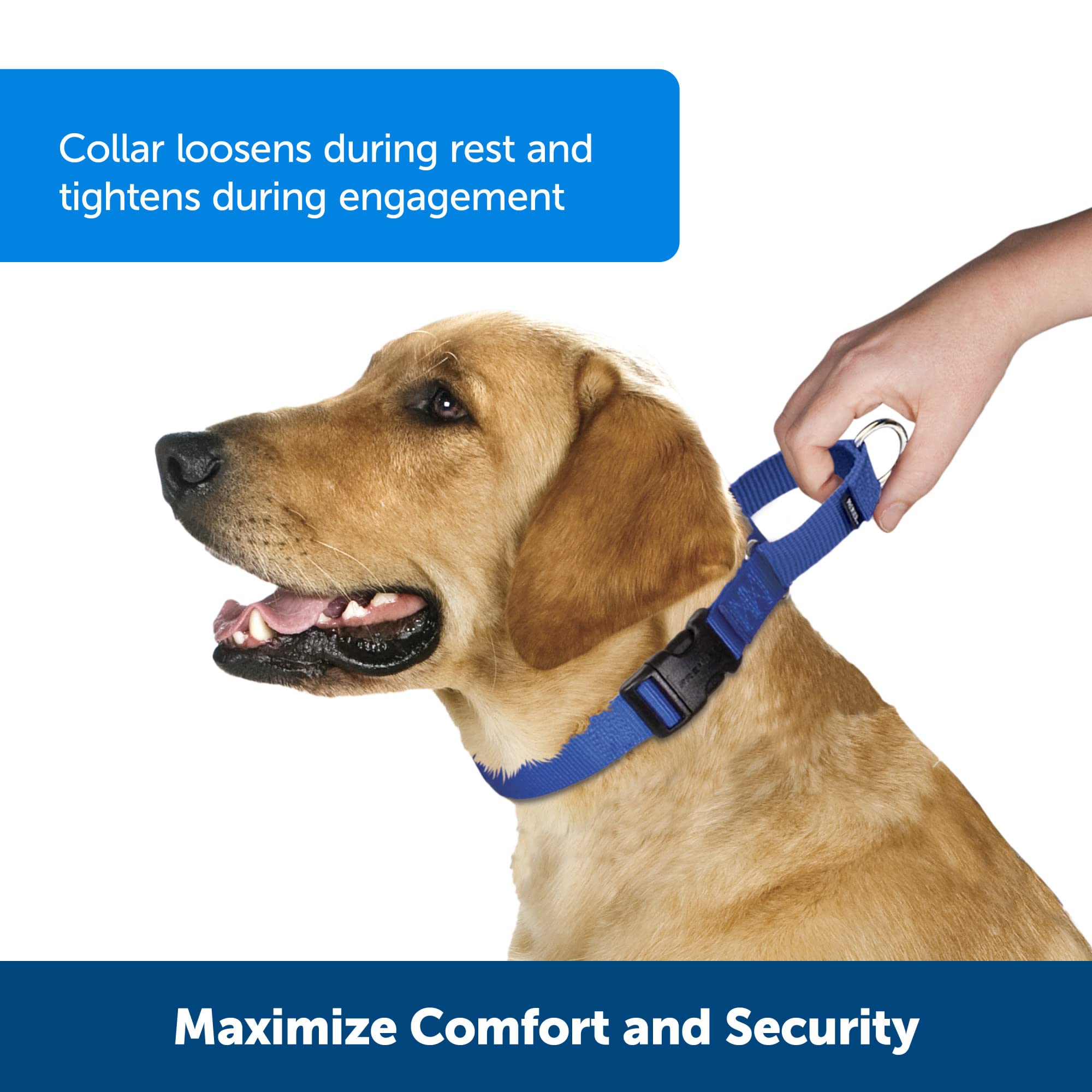 Foto 3 pulgar | Collar Martingale Petsafe con Hebilla de Cierre Rápido Grande Azul - Venta Internacional