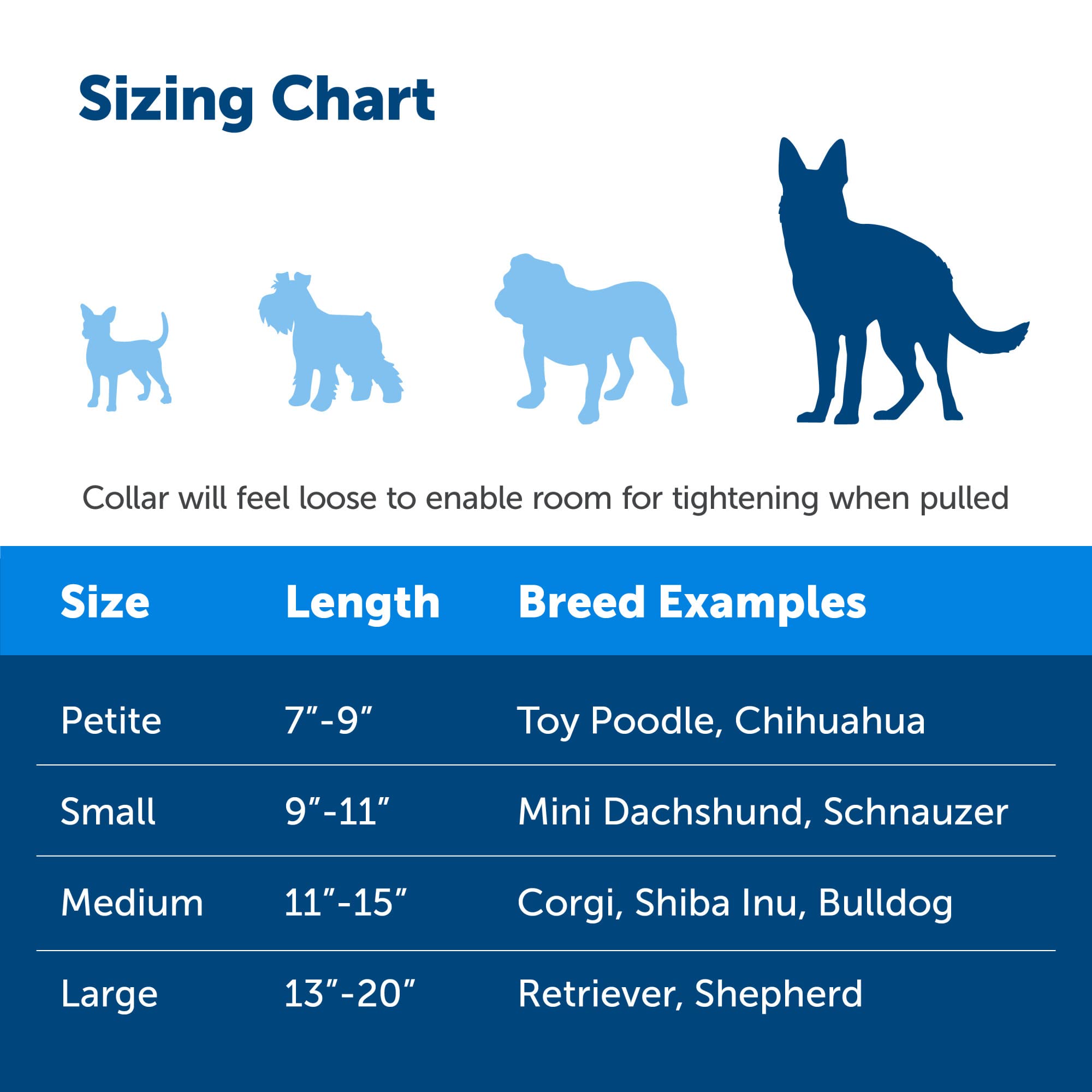Foto 5 pulgar | Collar Martingale Petsafe con Hebilla de Cierre Rápido Grande Azul - Venta Internacional