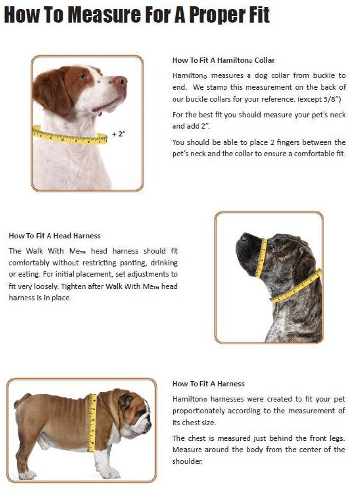 Foto 3 pulgar | Collar Para Perro Hamilton De Doble Grosor De Nailon Deluxe, 2,54 X 66,04 Cm - Venta Internacional.