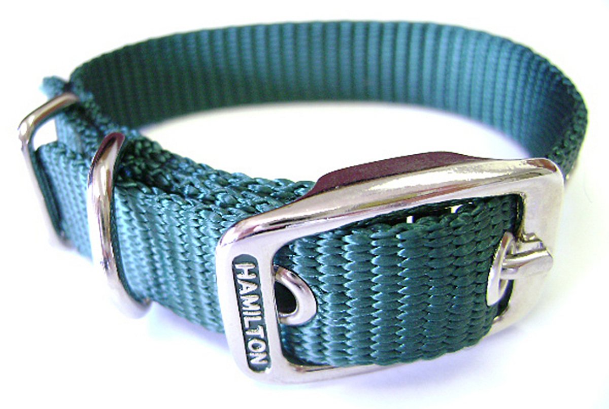 Foto 2 pulgar | Collar Para Perro Hamilton Deluxe De Nailon Verde Oscuro 1,6 X 40 Cm - Venta Internacional.