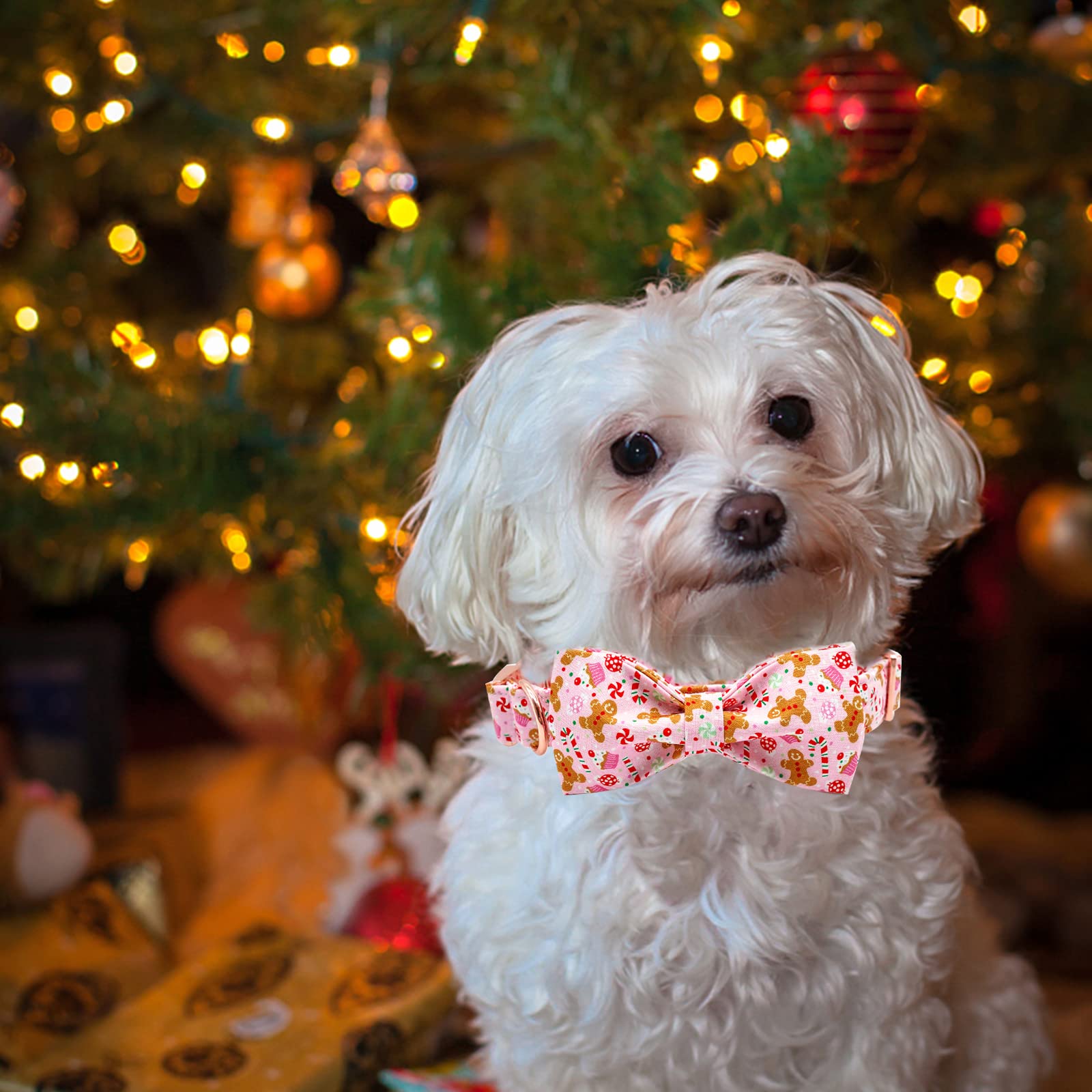 Foto 6 | Collar Para Perro Elegante Cola Pequeña Christmas Gingerbread Man Des - Venta Internacional.