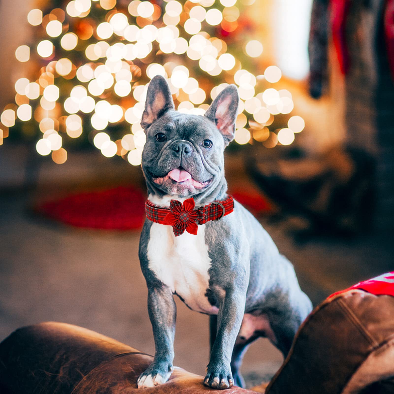 Foto 7 pulgar | Collar Para Perro Elegante Coleta Con Diseño Navideño De Flores - Venta Internacional.