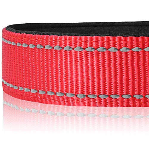 Foto 4 | Collar Para Perro Joytale De Nailon Acolchado De Neopreno Reflectante, Para Talla Grande - Venta Internacional.