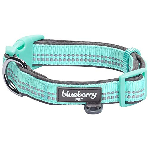 Foto 2 pulgar | Collar Para Perro Blueberry Pet, Suave Y Seguro, De Neopreno Reflectante - Venta Internacional.