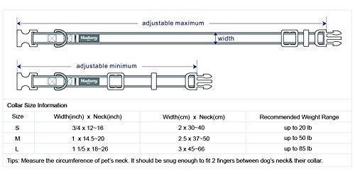 Foto 3 pulgar | Collar Para Perro Blueberry Pet, Suave Y Seguro, De Neopreno Reflectante - Venta Internacional.