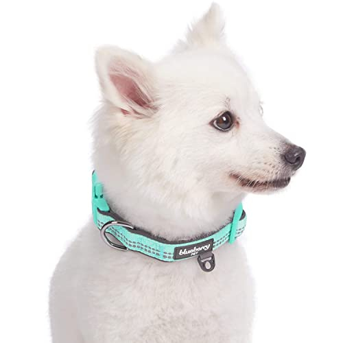 Foto 4 pulgar | Collar Para Perro Blueberry Pet, Suave Y Seguro, De Neopreno Reflectante - Venta Internacional.