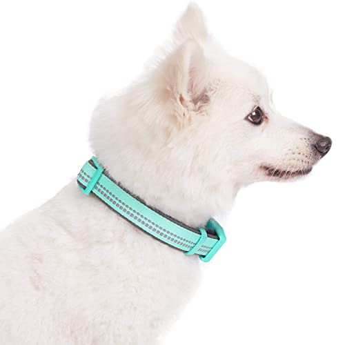 Foto 4 | Collar Para Perro Blueberry Pet, Suave Y Seguro, De Neopreno Reflectante - Venta Internacional.