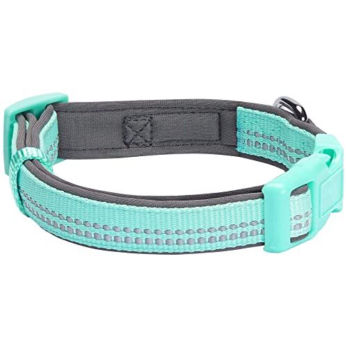 Foto 5 | Collar Para Perro Blueberry Pet, Suave Y Seguro, De Neopreno Reflectante - Venta Internacional.