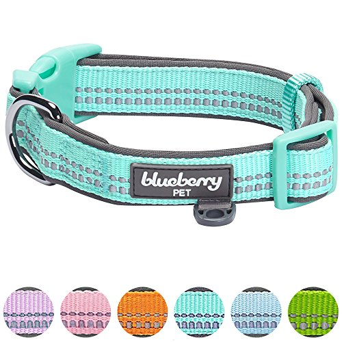 Foto 8 pulgar | Collar Para Perro Blueberry Pet, Suave Y Seguro, De Neopreno Reflectante - Venta Internacional.