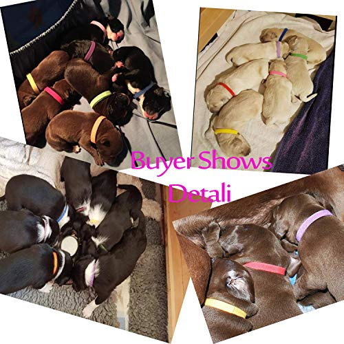 Foto 5 pulgar | Collares Puppy Id Whaline, 15 Colores Ajustables, 0.4 Pulgadas - Venta Internacional.