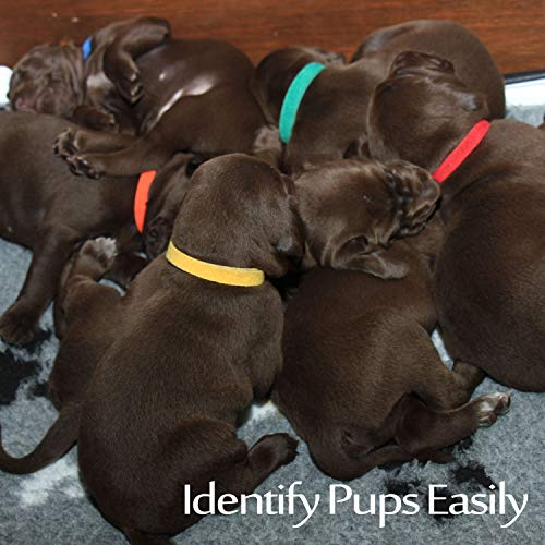 Foto 7 pulgar | Collares Puppy Id Whaline, 15 Colores Ajustables, 0.4 Pulgadas - Venta Internacional.