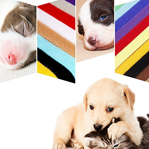 Foto 8 pulgar | Collares Puppy Id Whaline, 15 Colores Ajustables, 0.4 Pulgadas - Venta Internacional.