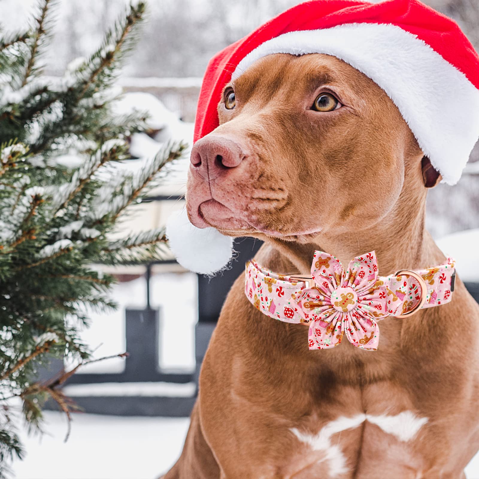 Foto 6 pulgar | Collar Para Perro Elegante Coleta Con Diseño Navideño De Flores - Venta Internacional.