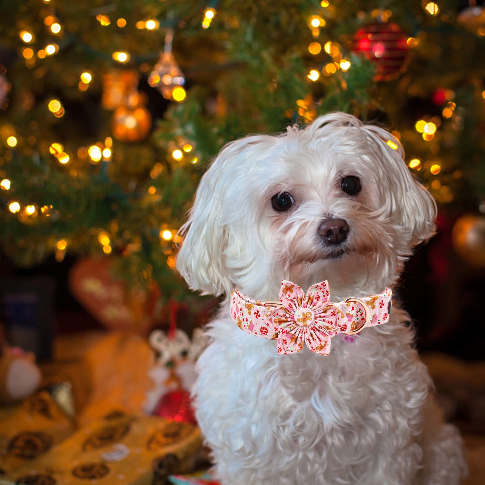 Foto 7 pulgar | Collar Para Perro Elegante Coleta Con Diseño Navideño De Flores - Venta Internacional.