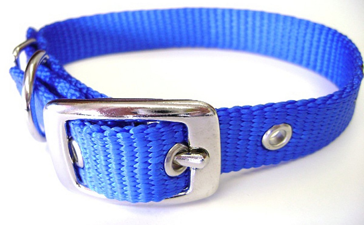 Collar Para Perro Hamilton Deluxe De Nailon, Grosor Único, 1,6 X 35 Cm, Azul - Venta Internacional.