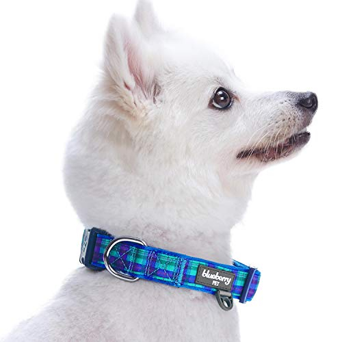 Foto 4 pulgar | Collar Para Perro Blueberry Pet Scottish Hudson Blue Plaid, Tamaño Grande - Venta Internacional.