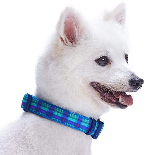 Foto 5 pulgar | Collar Para Perro Blueberry Pet Scottish Hudson Blue Plaid, Tamaño Grande - Venta Internacional.