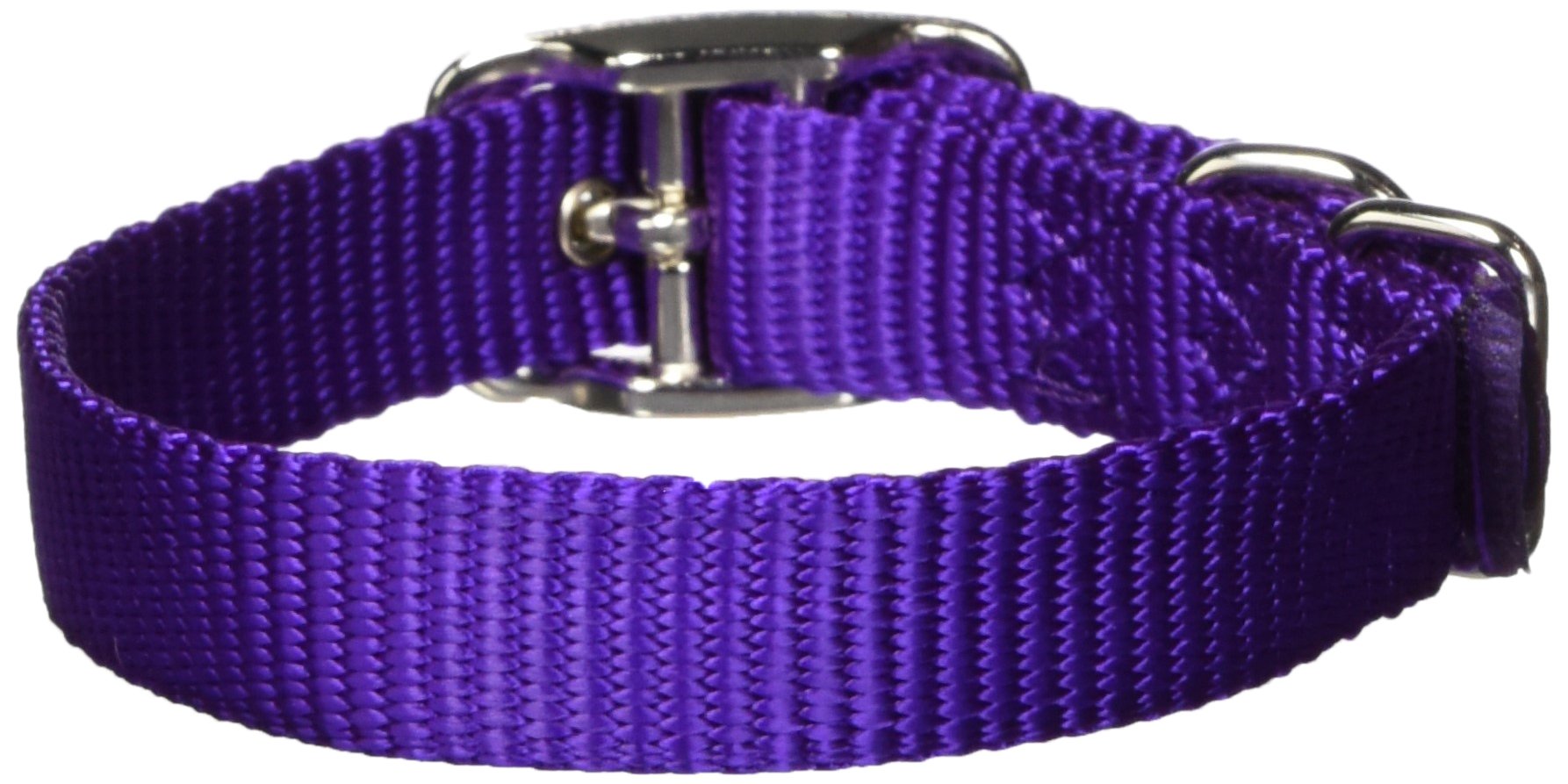 Foto 2 pulgar | Collar Para Perro Hamilton Deluxe De Nailon Morado 1,6 X 35-50 Cm - Venta Internacional.