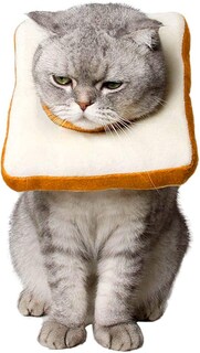 Foto 5 | Collar Cónico Ajustable Con Recuperación Suave Para Cuello De Gato De Menos De 30 Cm - Venta Internacional.