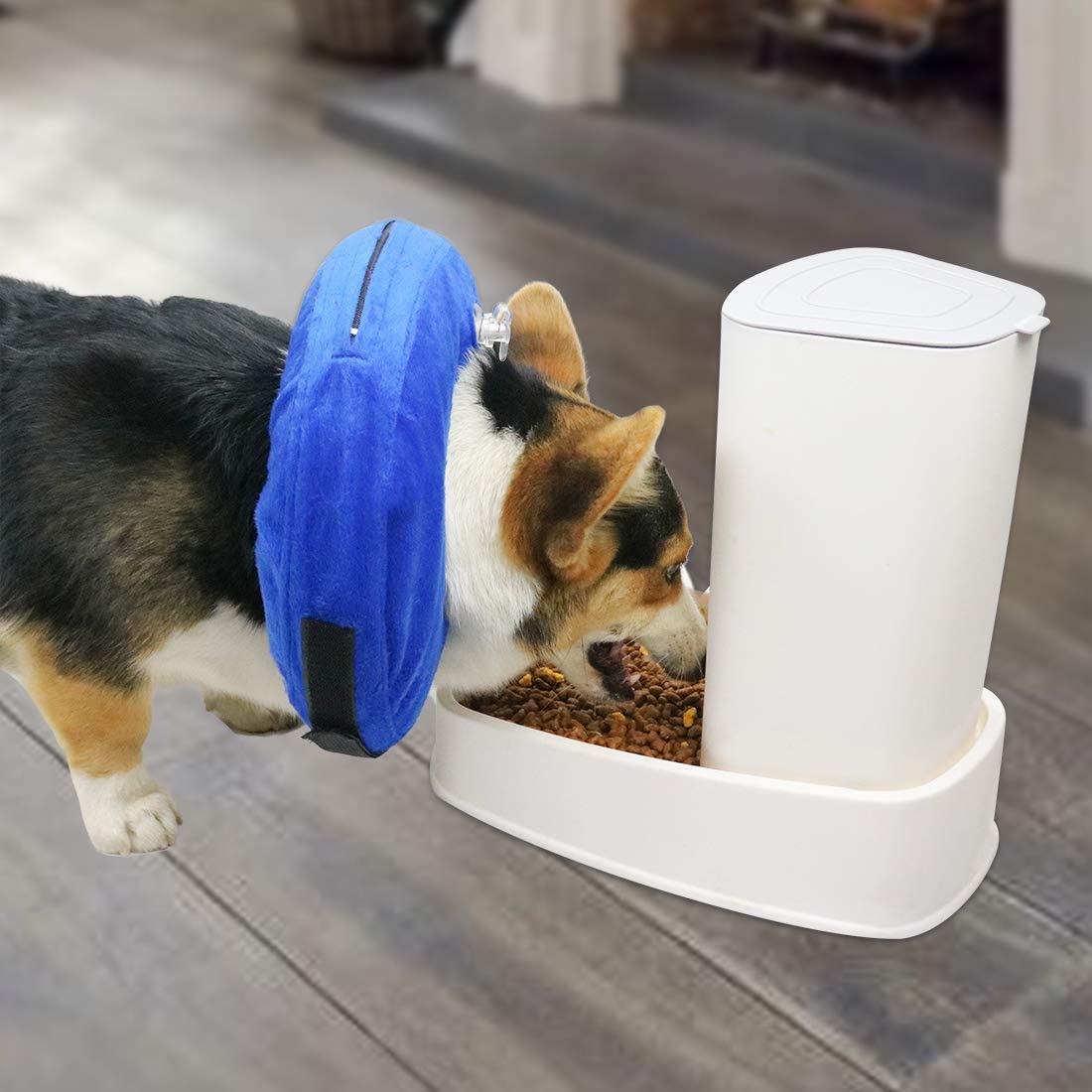 Foto 3 pulgar | Collar Inflable De Recuperación En Forma De Cono Para Perros Huoguo Para Talla D Extra Grande - Venta Internacional.
