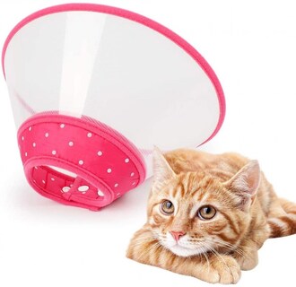 Foto 4 | Collar De Perro Ajustable Recovery Dog Cone Para Perros Y Gatos - Venta Internacional.