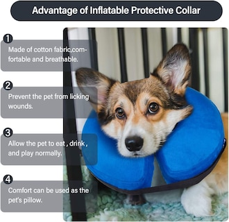 Foto 1 | Collar Inflable En Forma De Cono De Recuperación Para Perros Y Gatos - Venta Internacional.