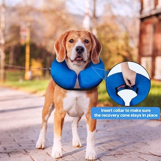 Foto 2 | Collar Inflable En Forma De Cono De Recuperación Para Perros Y Gatos - Venta Internacional.