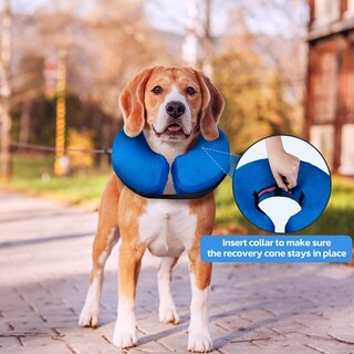Foto 2 | Collar Inflable En Forma De Cono De Recuperación Para Perros Y Gatos - Venta Internacional.
