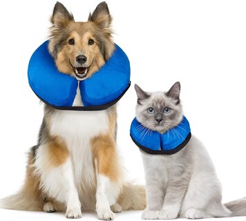 Foto 5 | Collar Inflable En Forma De Cono De Recuperación Para Perros Y Gatos - Venta Internacional.