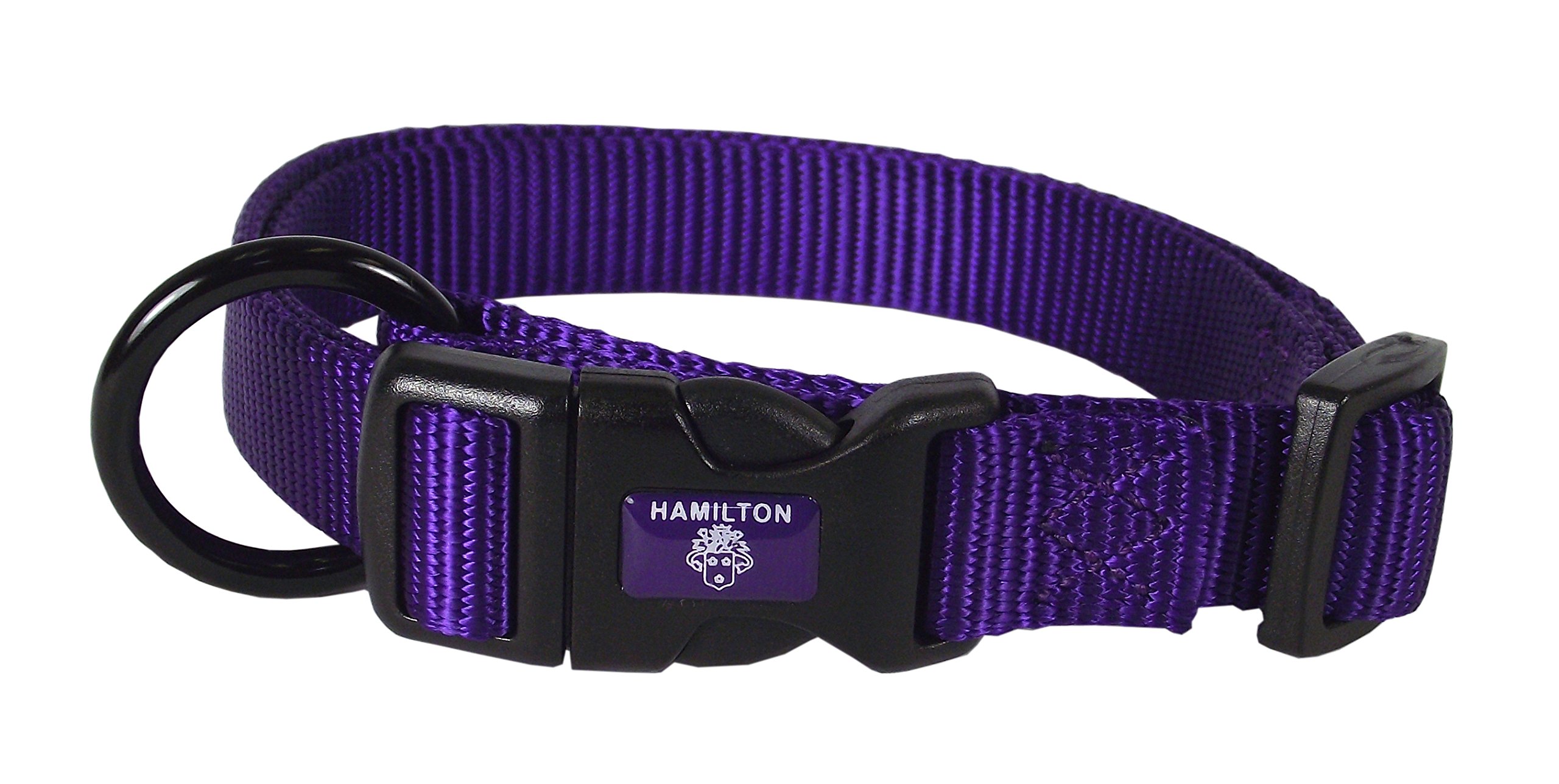 Collar Para Perro Hamilton Ajustable De Nailon Morado 1,6 X 30-45 Cm - Venta Internacional.