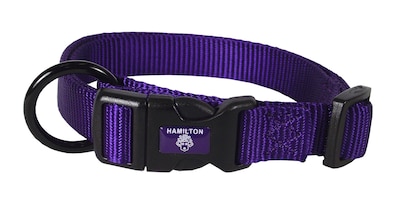 Foto 1 | Collar Para Perro Hamilton Ajustable De Nailon Morado 1,6 X 30-45 Cm - Venta Internacional.