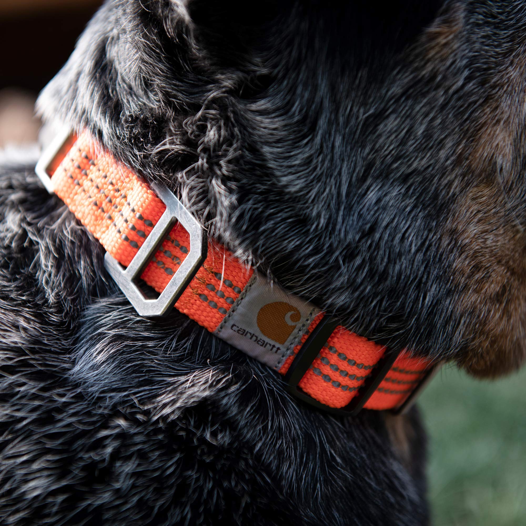 Foto 5 pulgar | Collar Para Perro Carhartt Con Correas De Nailon Totalmente Ajustables, Tamaño Mediano - Venta Internacional.