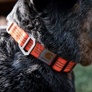 Foto 4 | Collar Para Perro Carhartt, Totalmente Ajustable, Con Correas De Nailon Reflectantes - Venta Internacional.