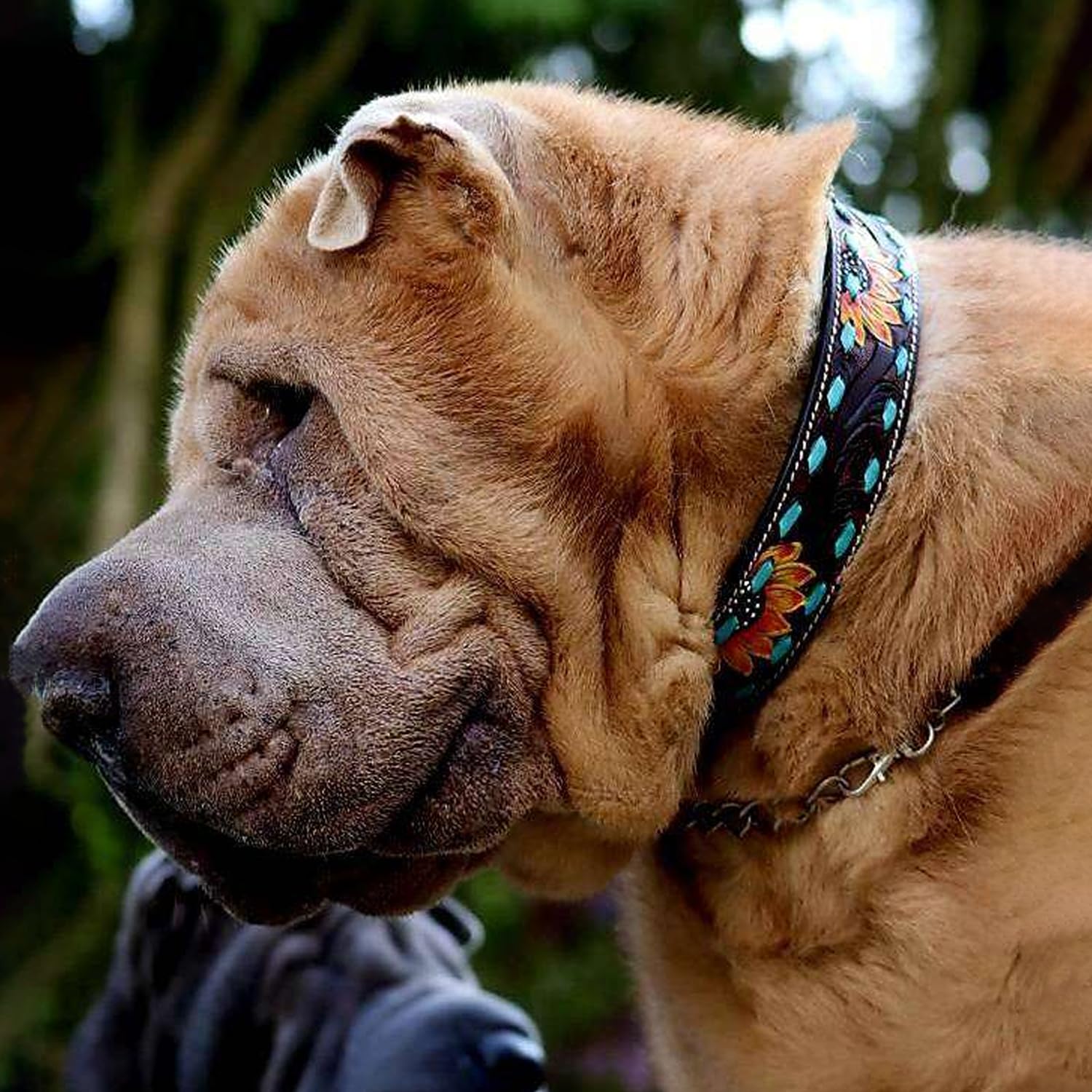 Foto 4 | Collar Para Perro Ranch De Piel Turquesa Con Forma De Girasol, Pespunte A Mano - Venta Internacional.