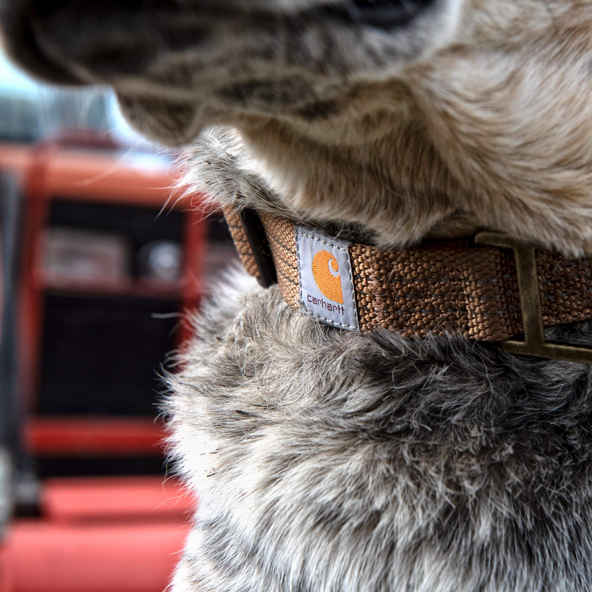 Foto 4 | Collar Para Perro Carhartt Con Correas De Nailon Totalmente Ajustables, Color Marrón - Venta Internacional.