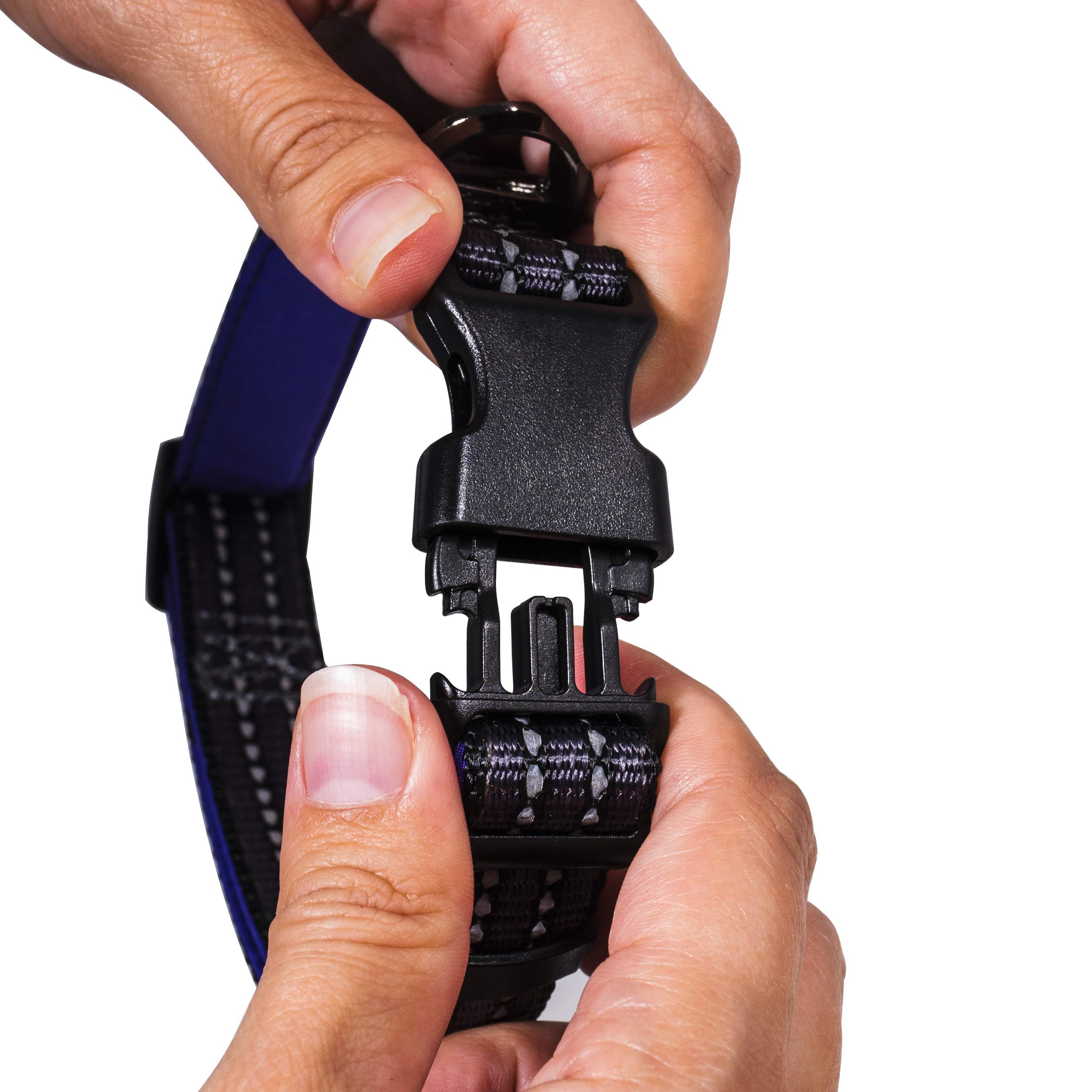 Foto 5 pulgar | Collar Para Perro Franklin Sports Reflectante Tamaño Grande - Venta Internacional