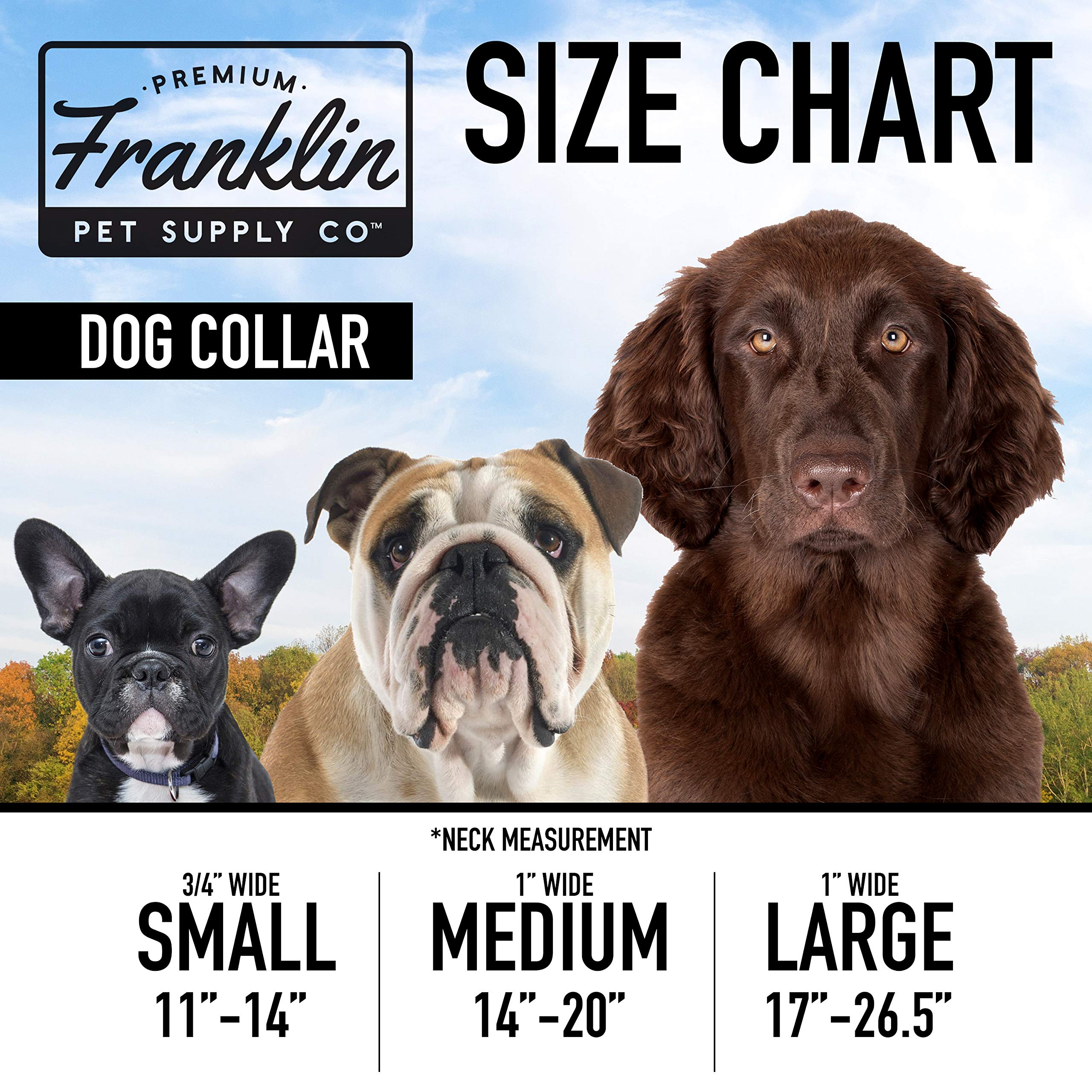 Foto 7 pulgar | Collar Para Perro Franklin Sports Reflectante Tamaño Grande - Venta Internacional