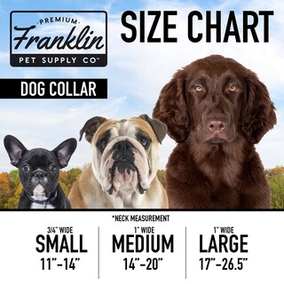 Foto 6 | Collar Para Perro Franklin Sports Reflectante Tamaño Grande - Venta Internacional