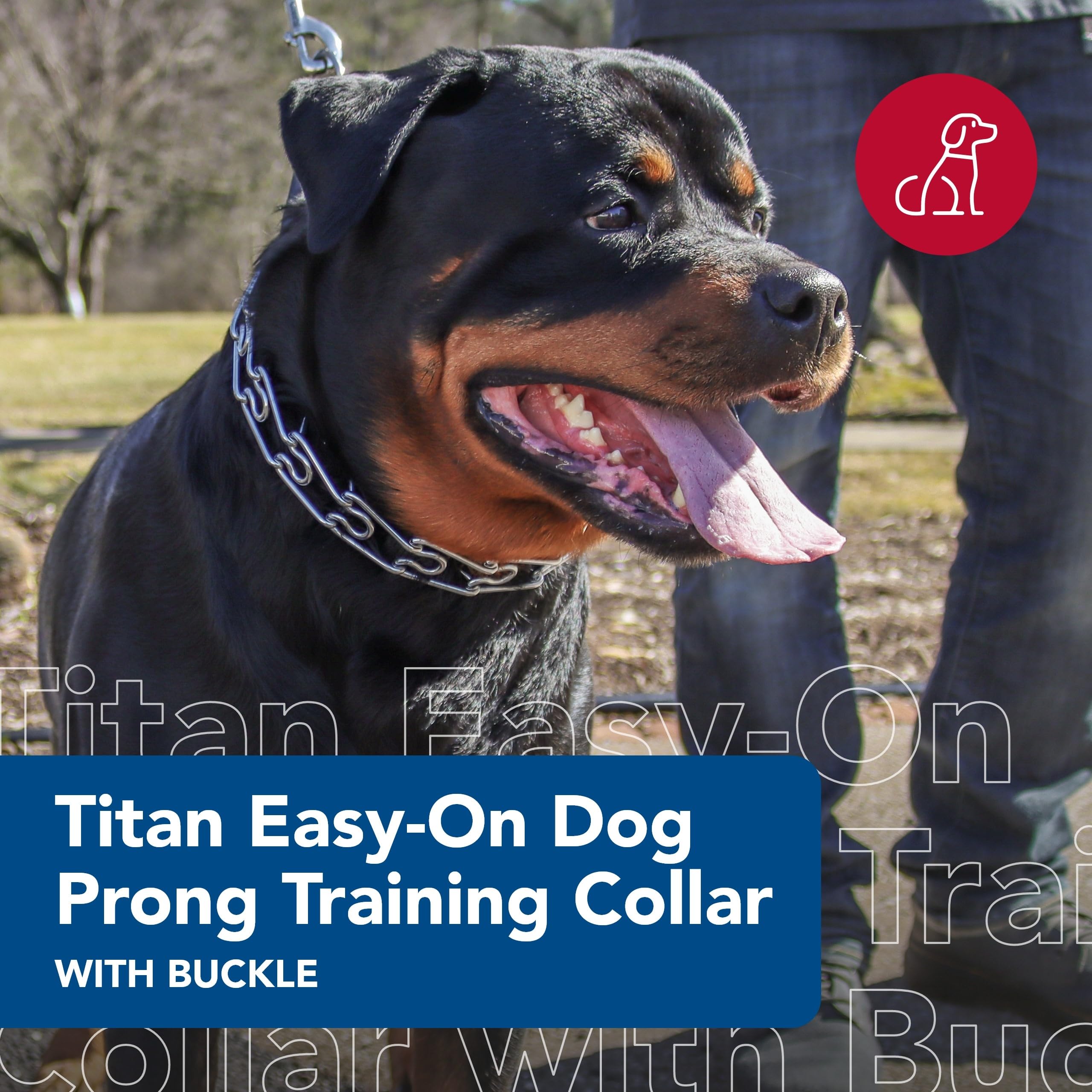 Foto 2 | Collar De Entrenamiento Coastal Pet Titan Easy-on Con Hebilla De 3,3 Mm - Venta Internacional.