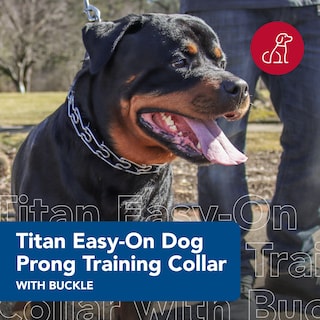 Foto 2 | Collar De Entrenamiento Coastal Pet Titan Easy-on Con Hebilla De 3,3 Mm - Venta Internacional.