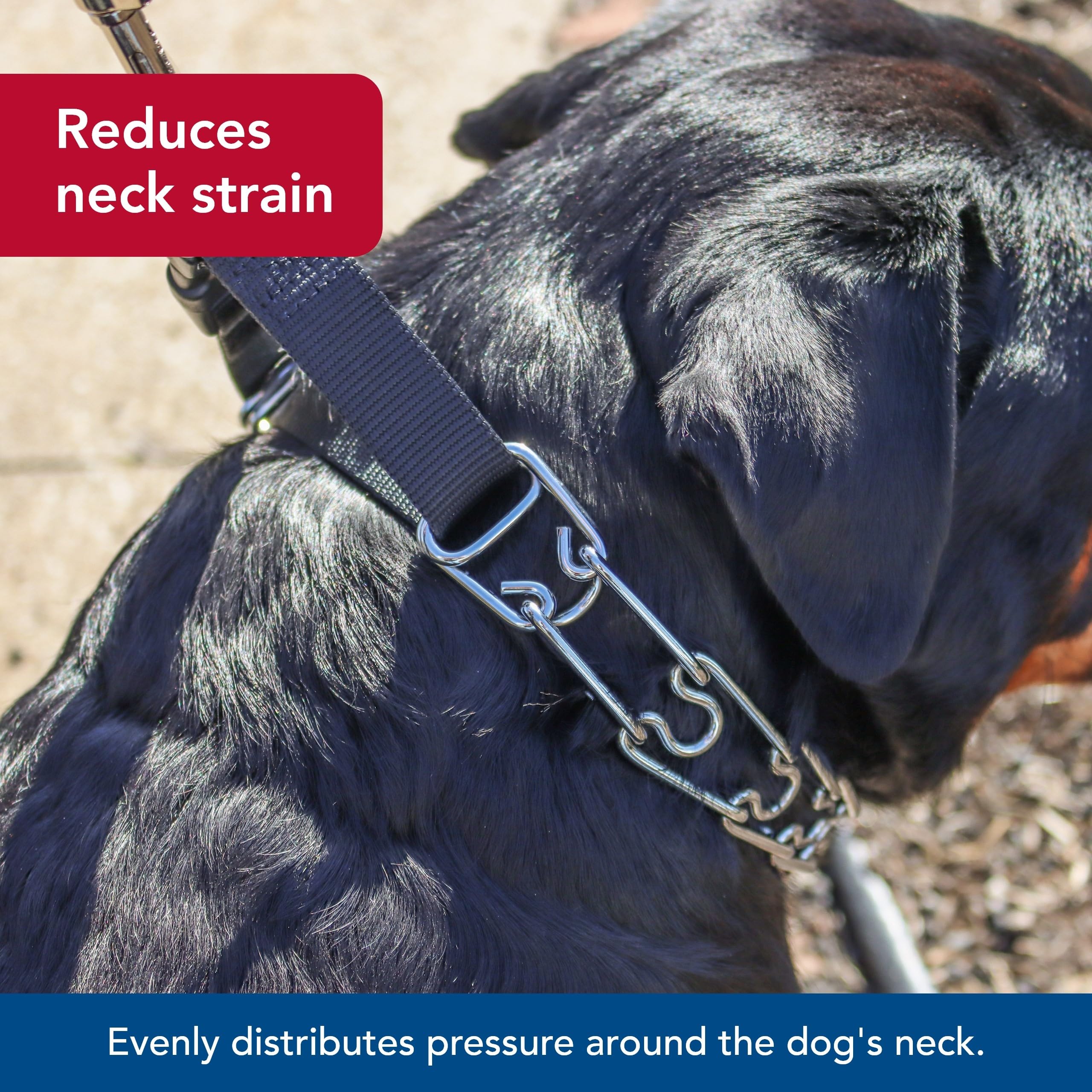 Foto 4 pulgar | Collar De Entrenamiento Coastal Pet Titan Easy-on Con Hebilla De 3,3 Mm - Venta Internacional.