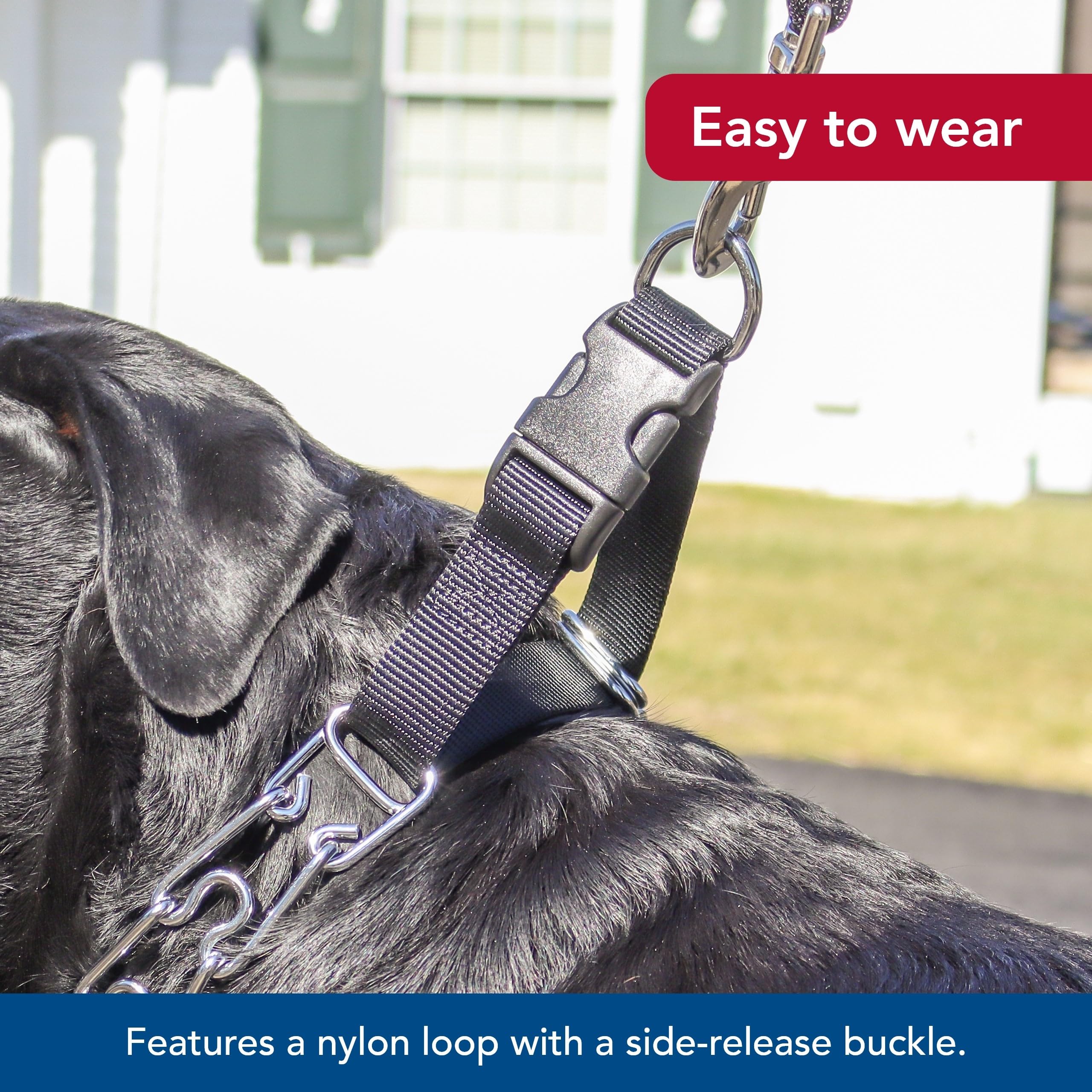 Foto 7 pulgar | Collar De Entrenamiento Coastal Pet Titan Easy-on Con Hebilla De 3,3 Mm - Venta Internacional.