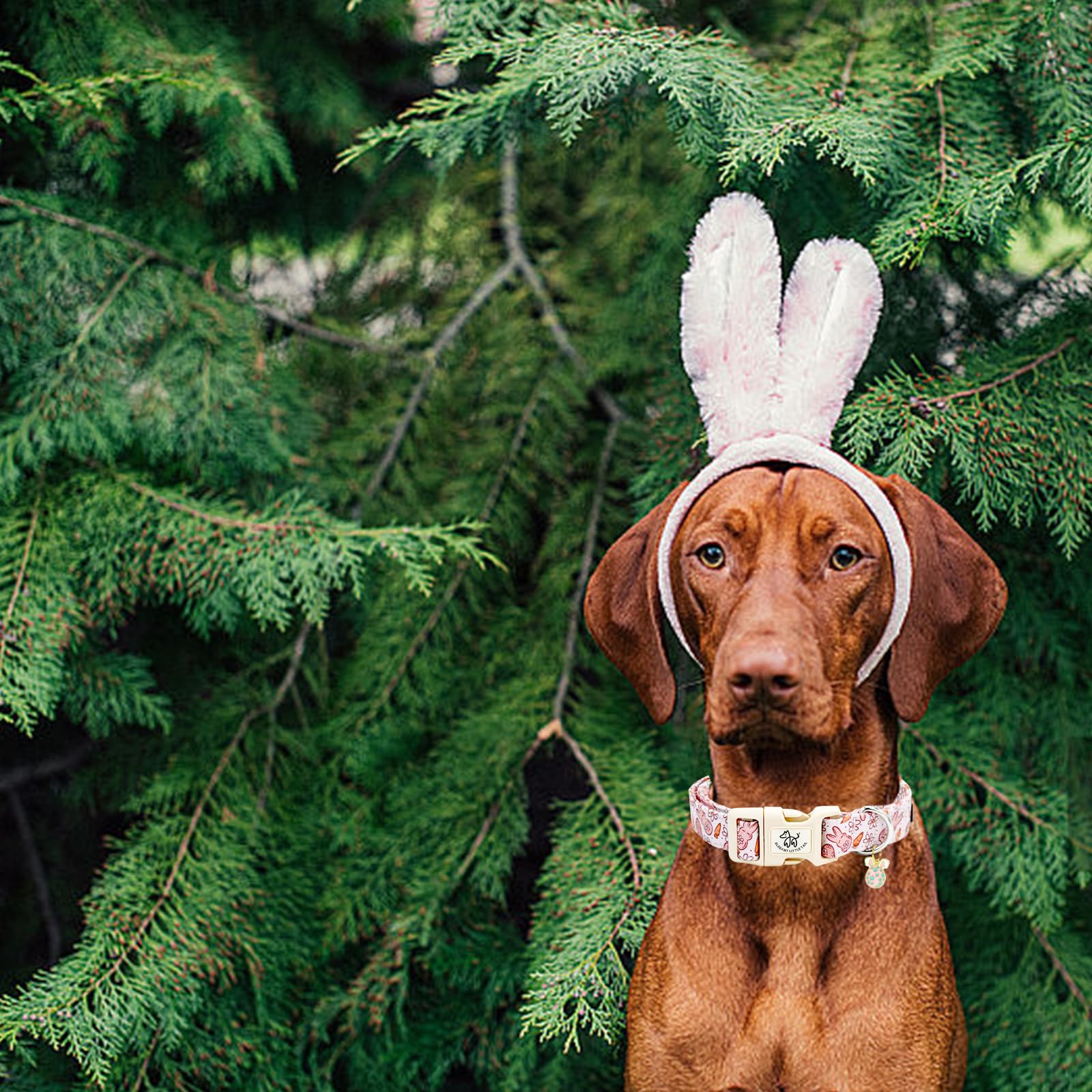 Foto 5 pulgar | Collar Para Perro, Elegante Rabita, Estampado De Conejito De Pascua, Algodón Rosa - Venta Internacional.