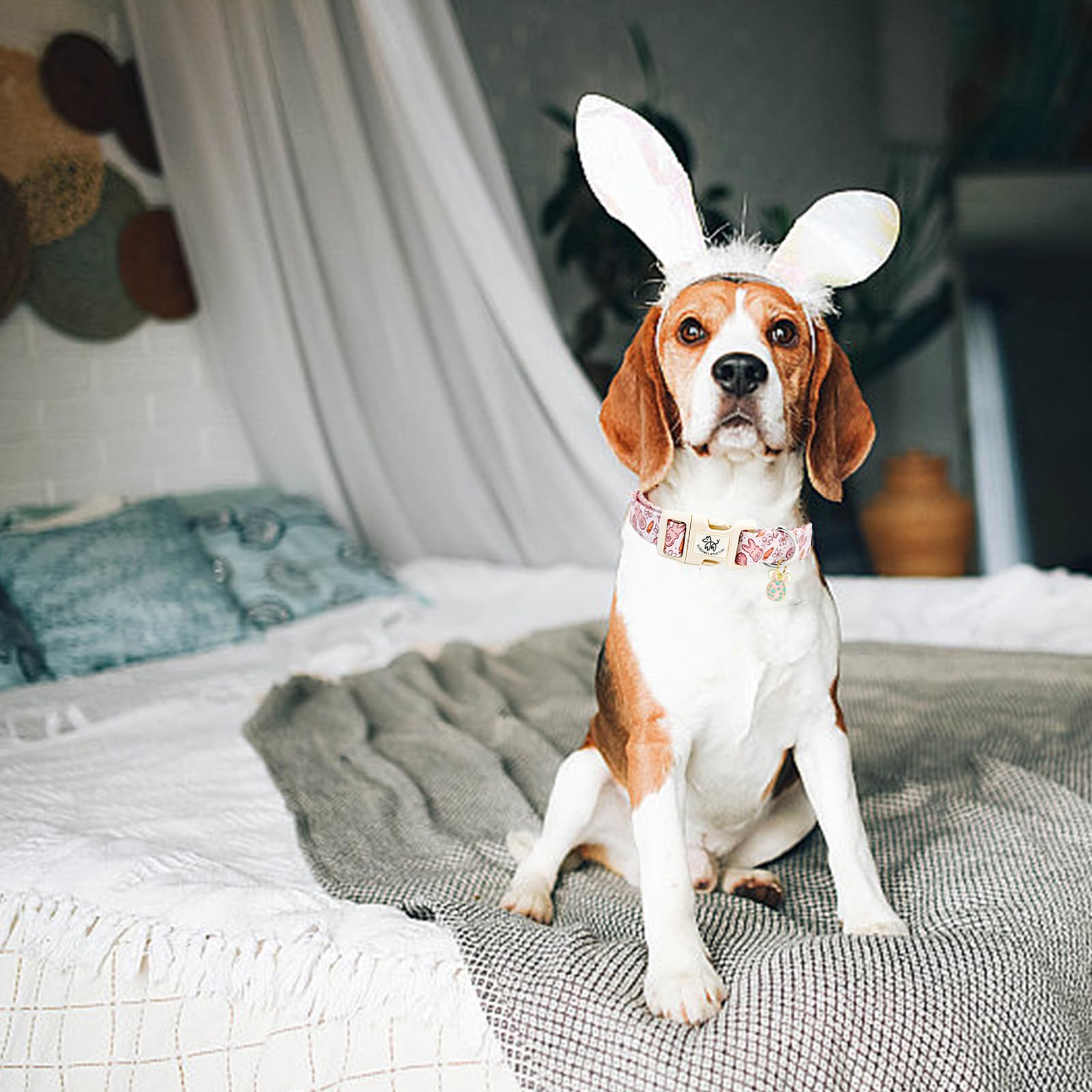Foto 5 | Collar Para Perro, Elegante Rabita, Estampado De Conejito De Pascua, Algodón Rosa - Venta Internacional.