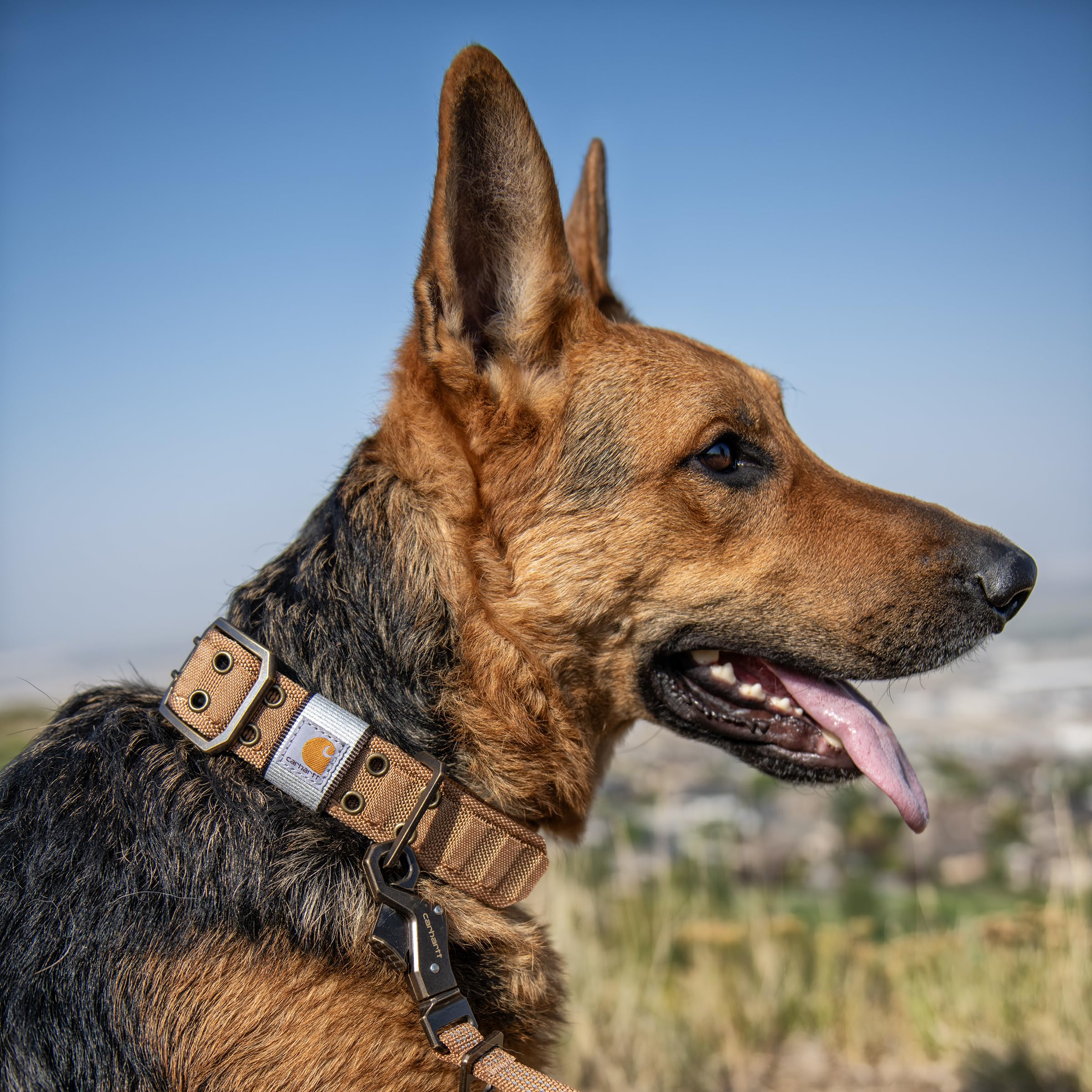 Foto 7 pulgar | Collar Para Perro Carhartt Pet, Totalmente Ajustable, Con Correas Anchas, Color Marrón - Venta Internacional.