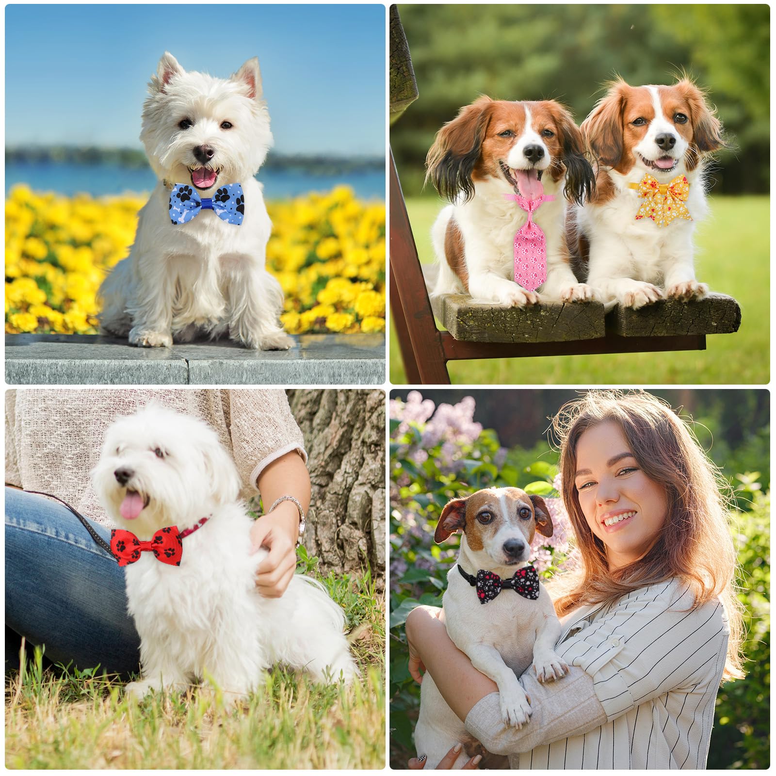 Foto 6 pulgar | Juego De Corbatas Para Perros Reginary, 100 Piezas, Para Perros Pequeños Y Medianos - Venta Internacional.