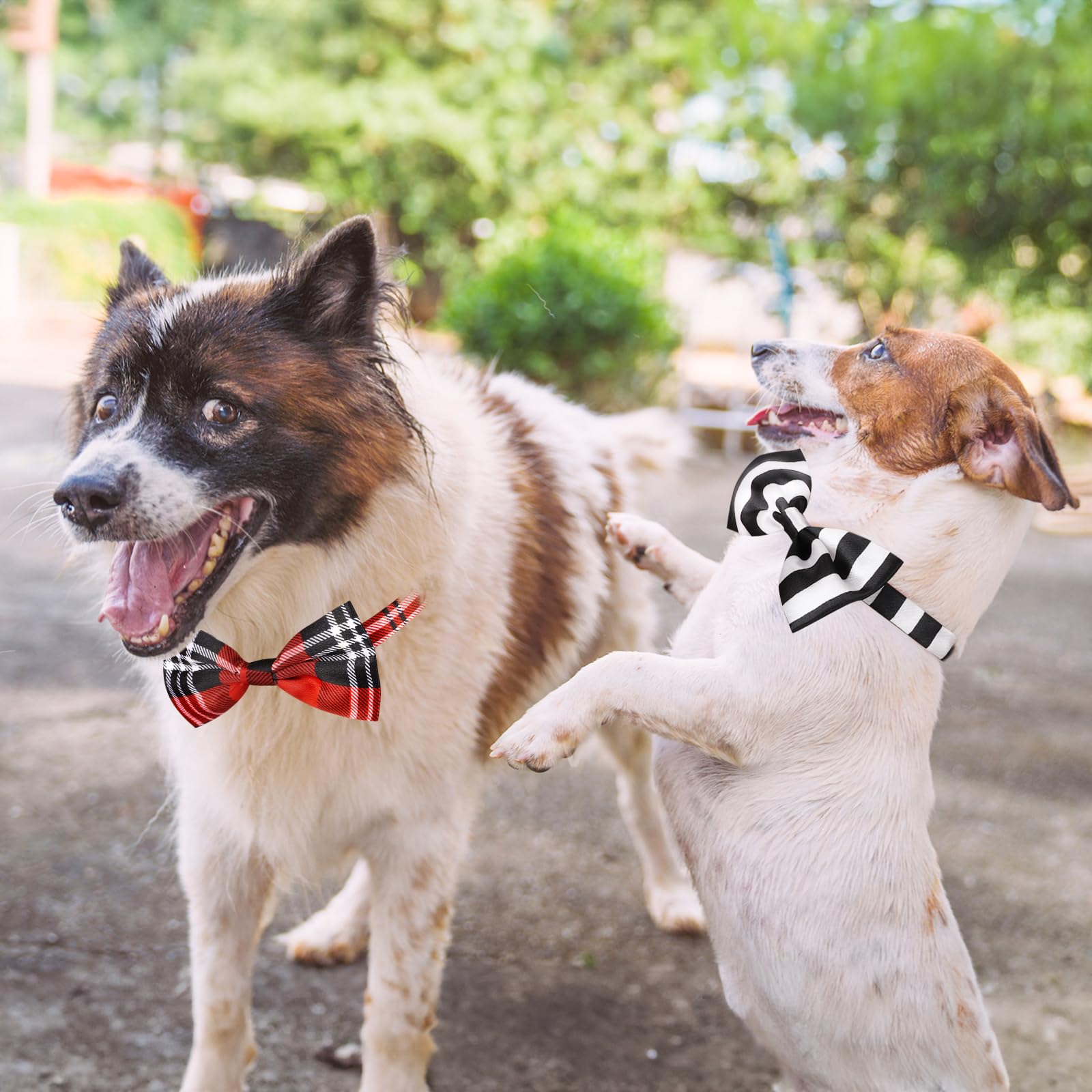 Foto 6 pulgar | Pajaritas Segarty Para Perros, 40 Unidades, Lazos Para El Cuello De Mascotas Con Cuello Ajustable - Venta Internacional.