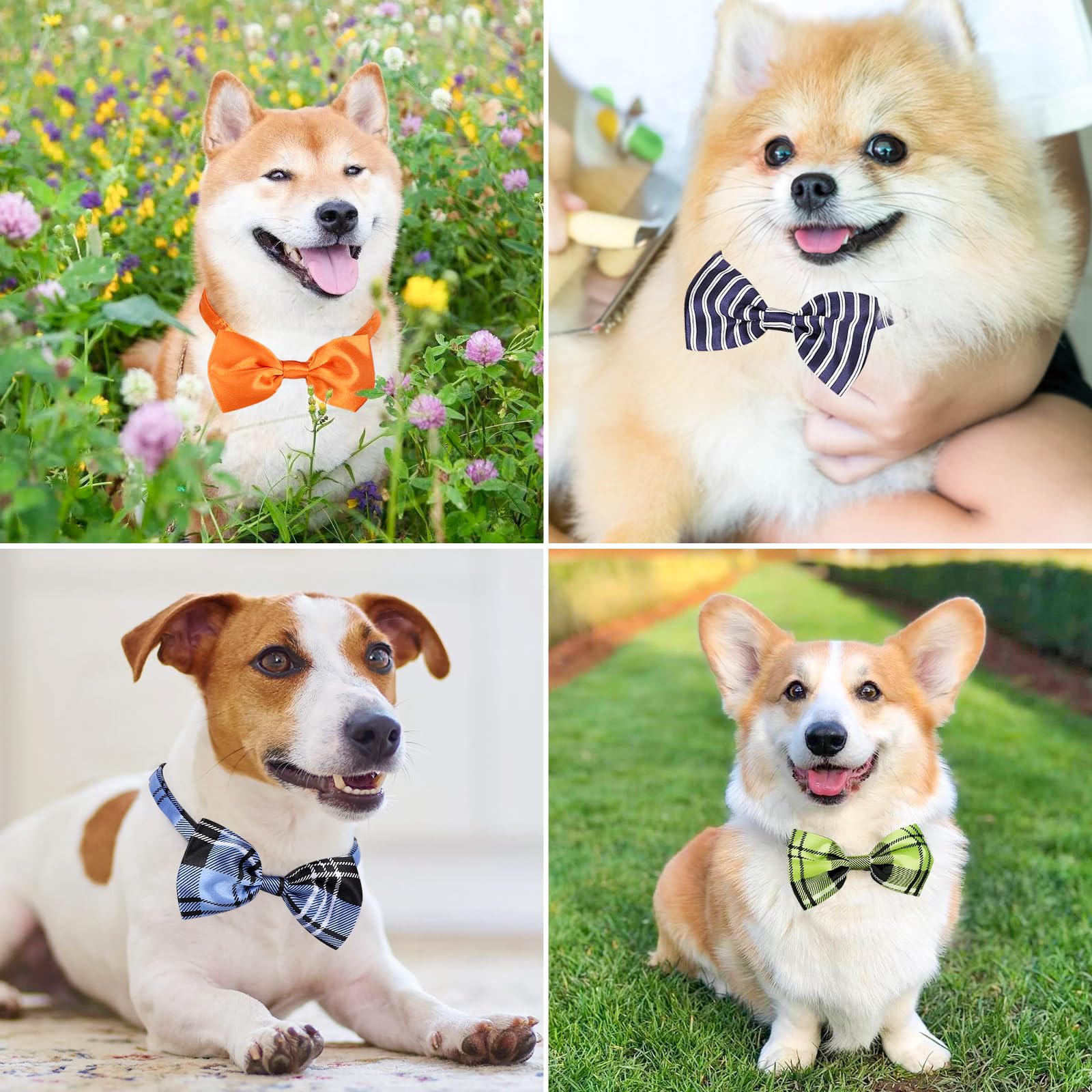 Foto 7 pulgar | Pajaritas Segarty Para Perros, 40 Unidades, Lazos Para El Cuello De Mascotas Con Cuello Ajustable - Venta Internacional.