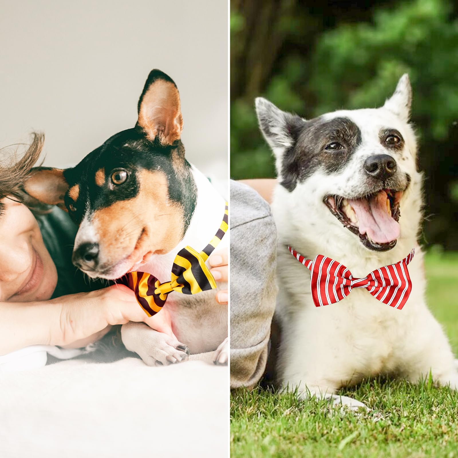 Foto 8 pulgar | Pajaritas Segarty Para Perros, 40 Unidades, Lazos Para El Cuello De Mascotas Con Cuello Ajustable - Venta Internacional.