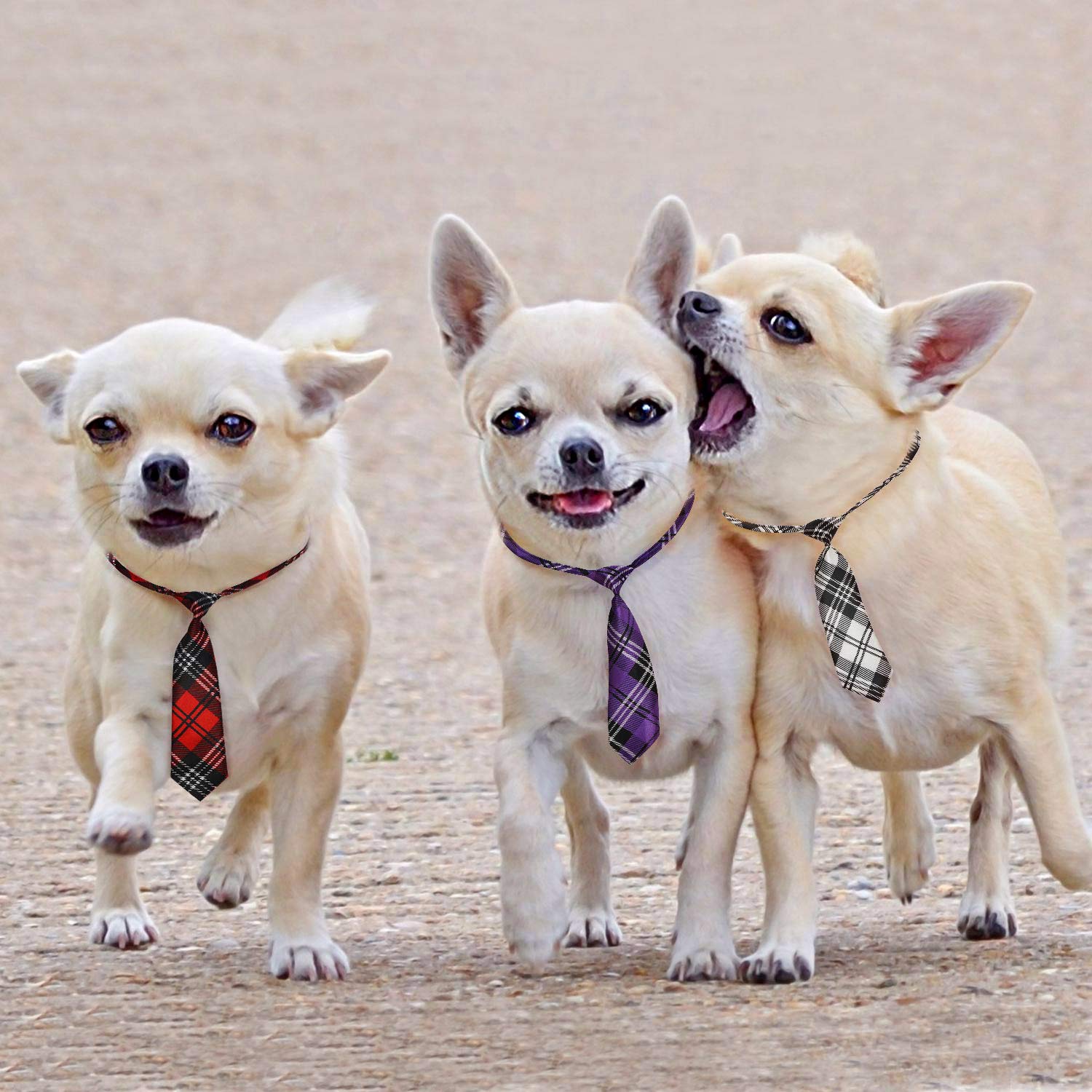 Foto 7 pulgar | Corbatas Segarty Para Perros Grandes, Corbata Para Mascotas Con Cuello Ajustable - Venta Internacional.
